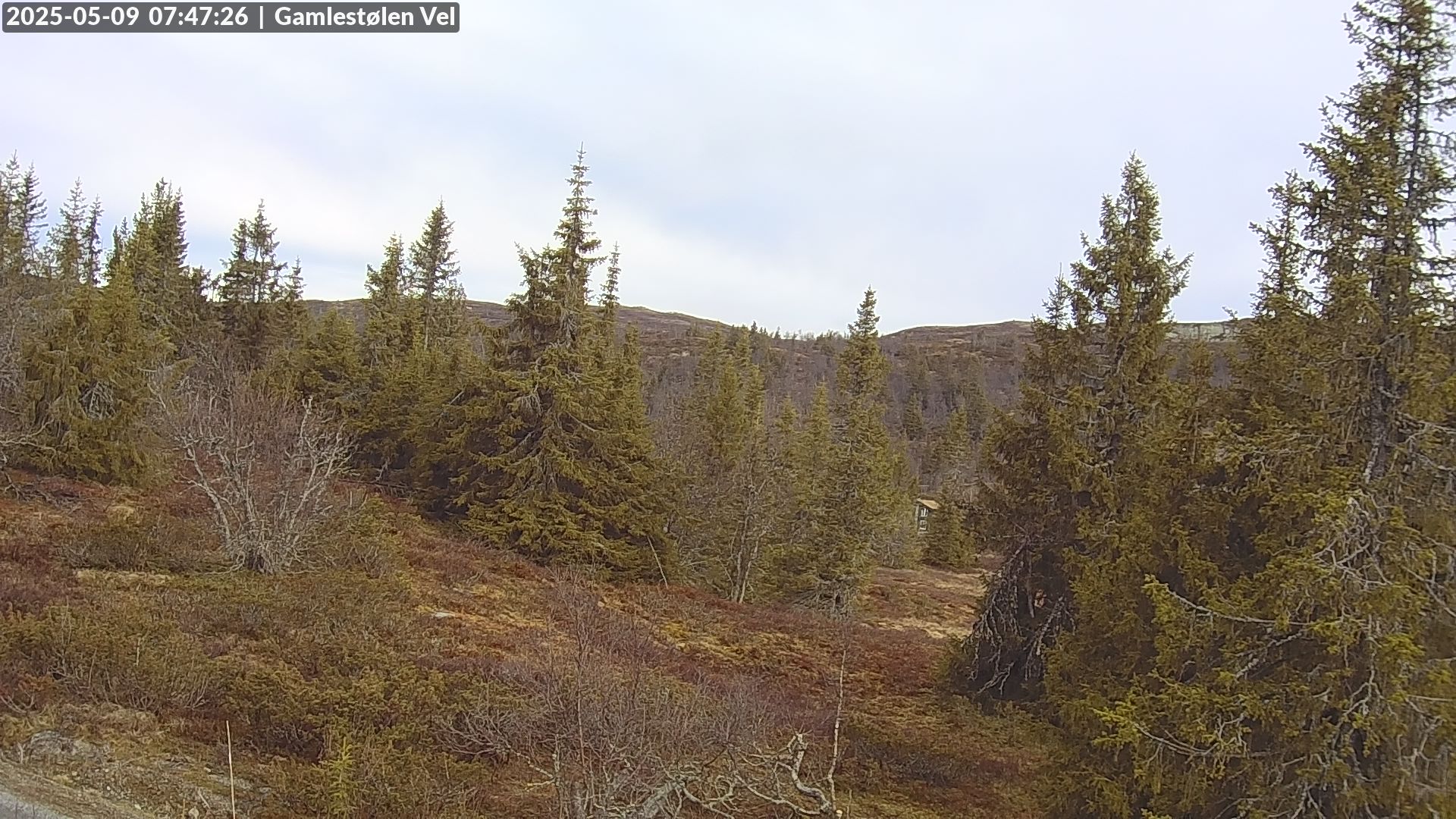 Gamlestølen webcam